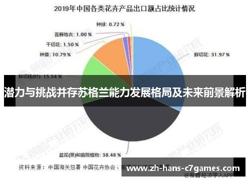 潜力与挑战并存苏格兰能力发展格局及未来前景解析